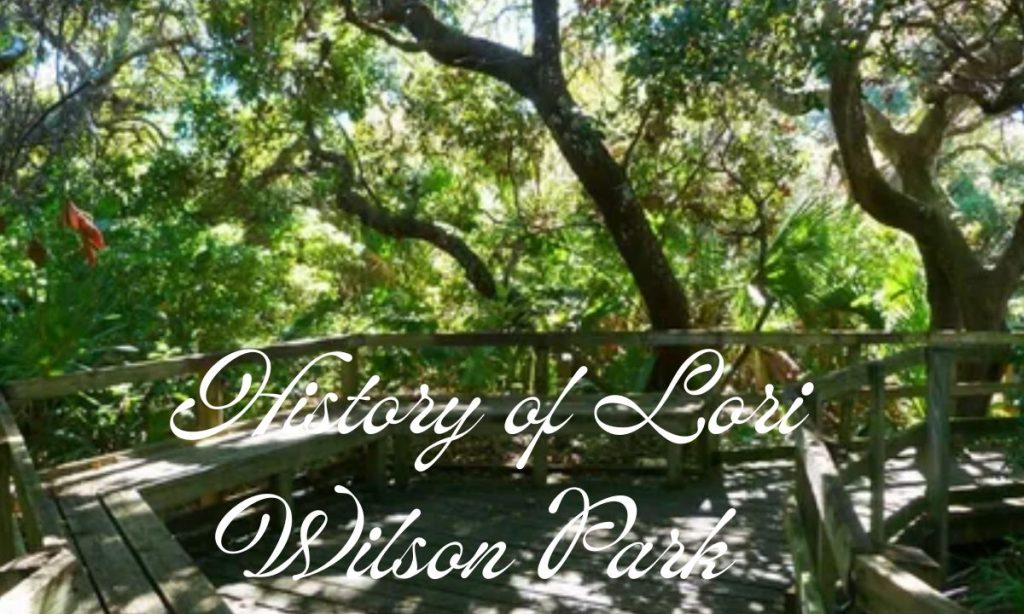 History of Lori Wilson Park