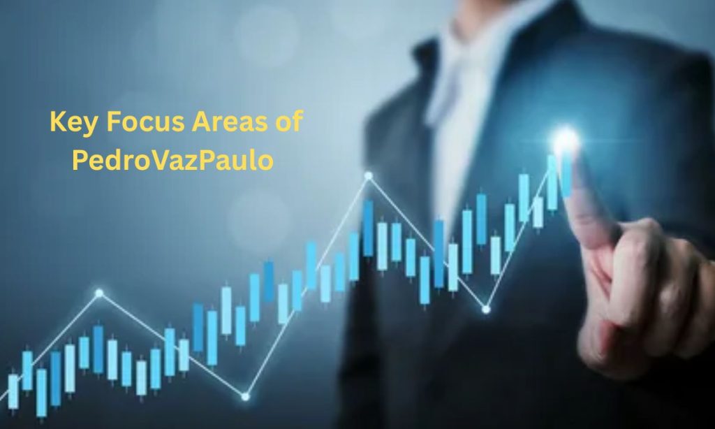 Key Focus Areas of PedroVazPaulo