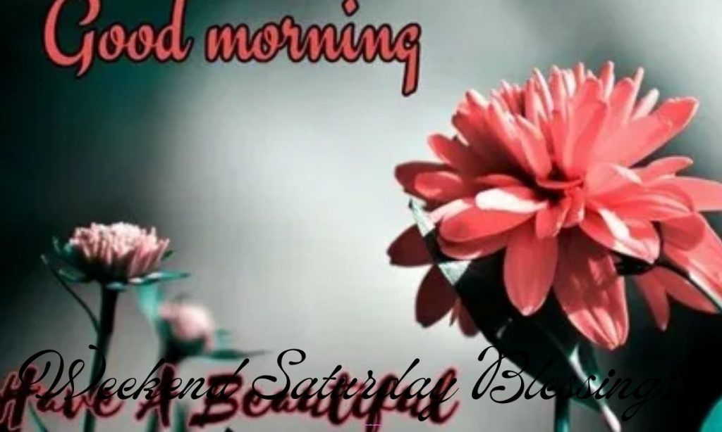 Weekend Saturday Blessings